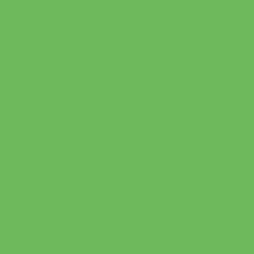 Fresh Green - Image 2