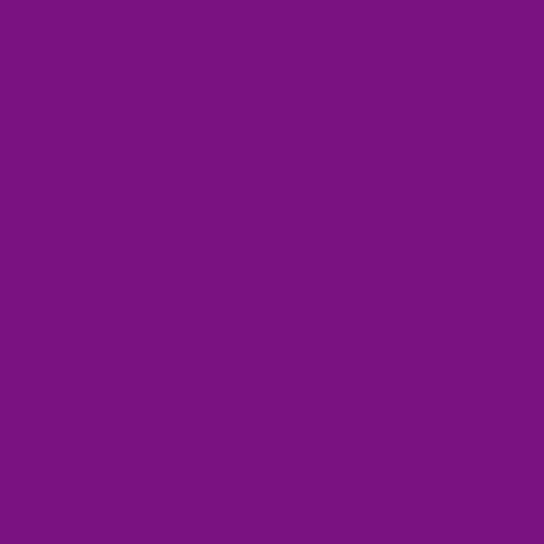 Boysenberry - Image 2